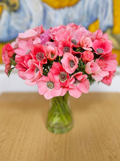 Acheter Barbie anémone