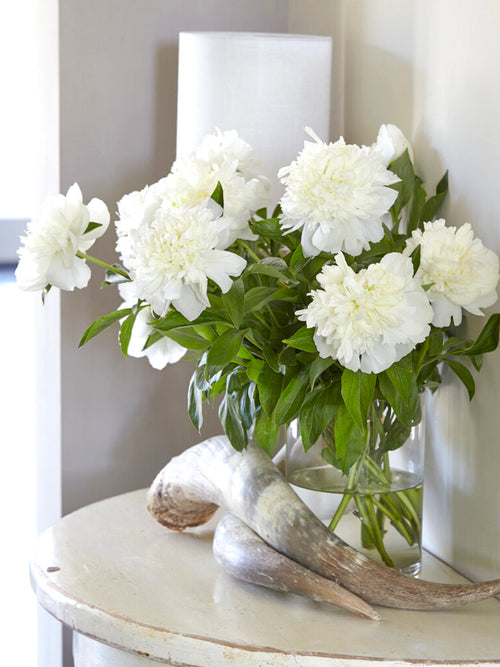 Achat Pivoine Bridal Shower