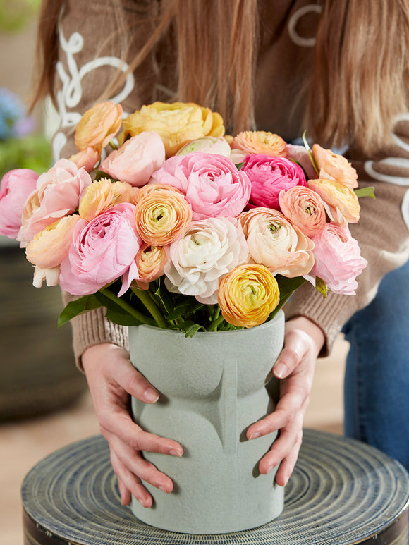 Acheter Renoncule Pauline Pastel