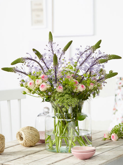 Scilla hyacinthoides ‘Blue Arrow’ plantée en groupe dans un massif ensoleillé