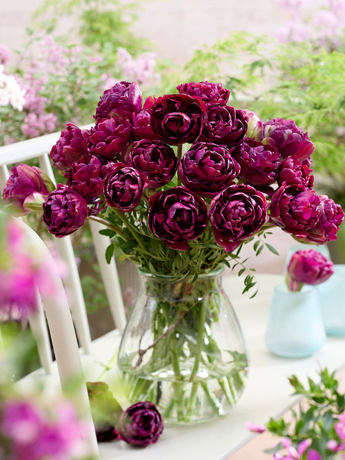 Tulipe Mystery Dream