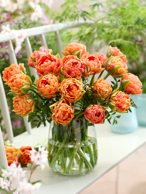 Tulipe Orange Flavour