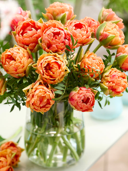 Tulipe Orange Flavour