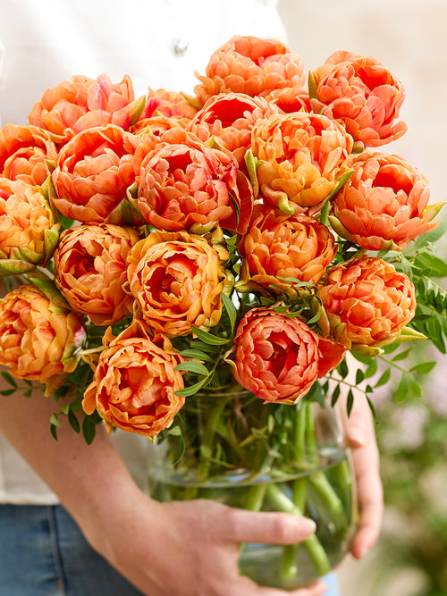 Tulipe Orange Flavour