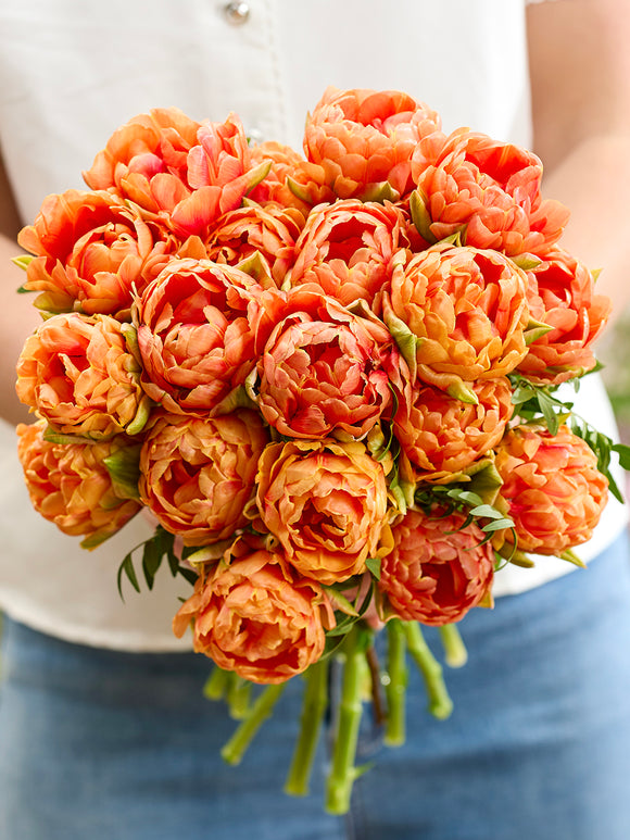 Tulipe Orange Flavour