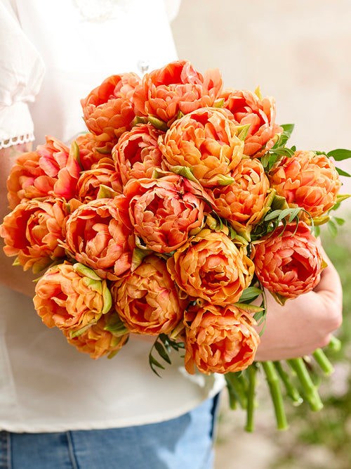 Tulipe Orange Flavour