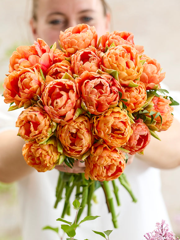 Tulipe Orange Flavour