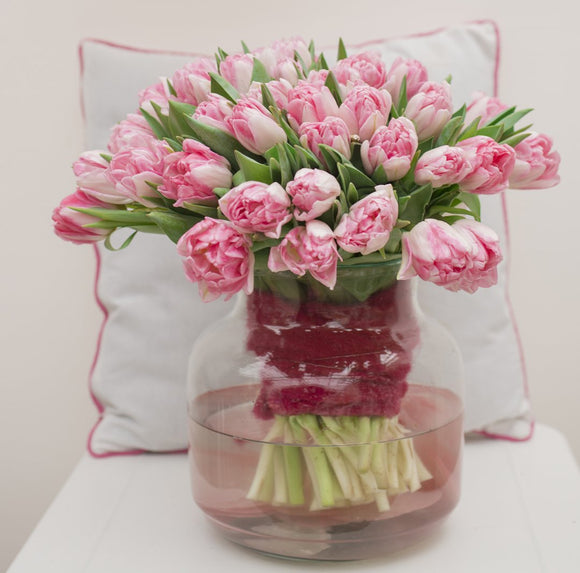 Tulipe Foxtrot - Livraison en France de Hollande