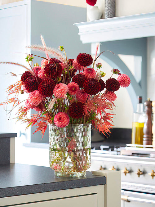 Bouquet élégant de dahlias ‘Dark Spirit’
