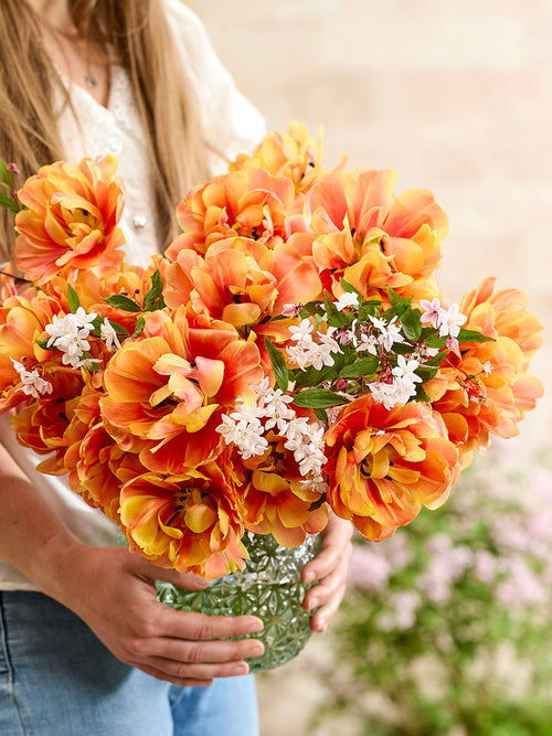 Tulipe Oakheart