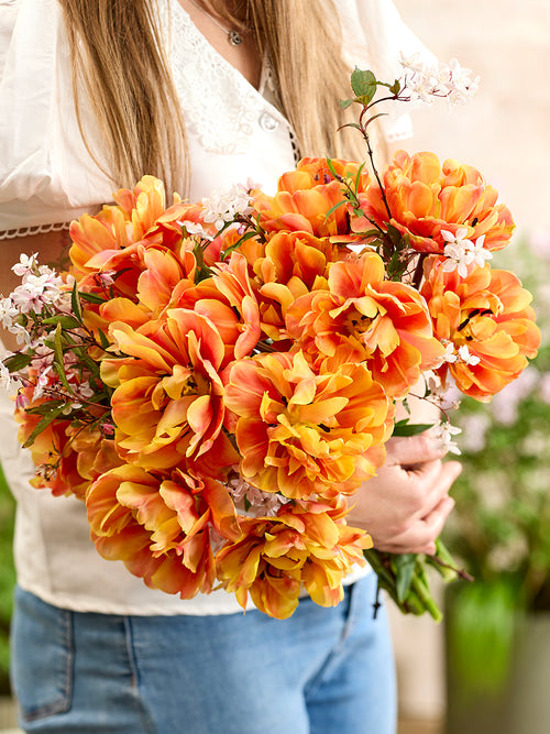 Tulipe Oakheart