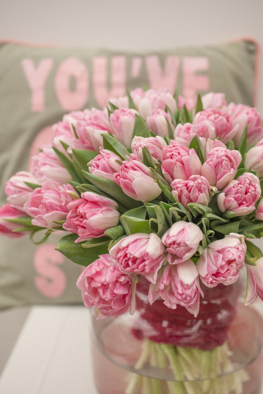 Rose double Tulipe Foxtrot | DutchGrown™