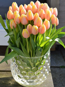 Tulipe Mango Charm®